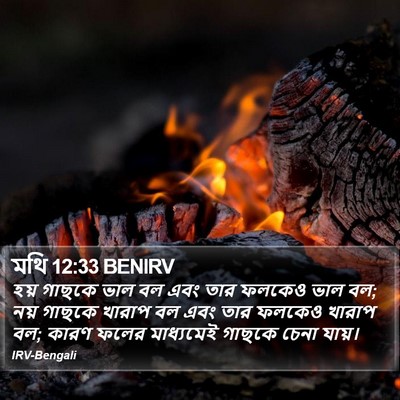 মথি 12:33 BENIRV Bible Verse Image