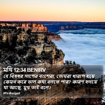 মথি 12:34 BENIRV Bible Verse Image