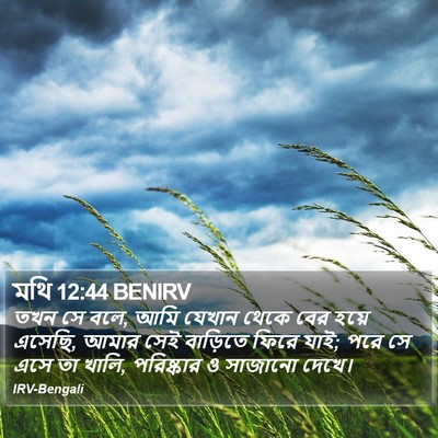 মথি 12:44 BENIRV Bible Verse Image