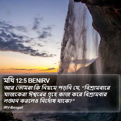 মথি 12:5 BENIRV Bible Verse Image