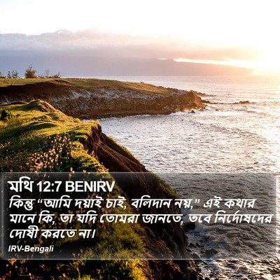 মথি 12:7 BENIRV Bible Verse Image