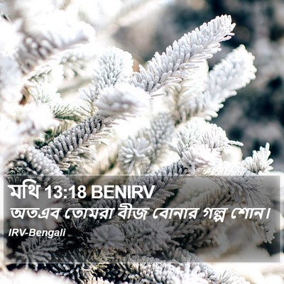 মথি 13:18 BENIRV Bible Verse Image