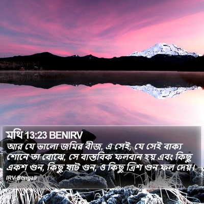 মথি 13:23 BENIRV Bible Verse Image