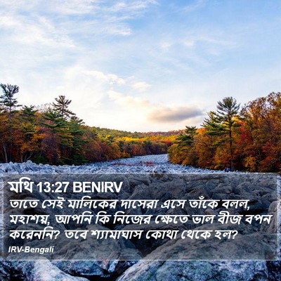 মথি 13:27 BENIRV Bible Verse Image
