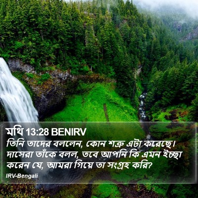 মথি 13:28 BENIRV Bible Verse Image