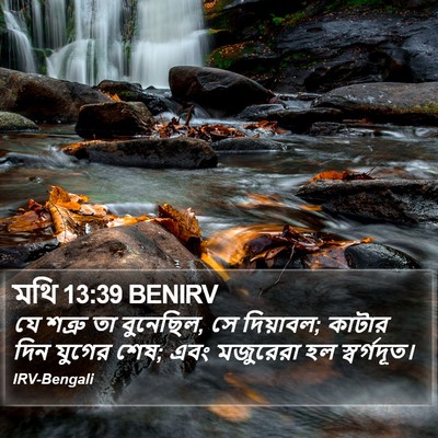 মথি 13:39 BENIRV Bible Verse Image