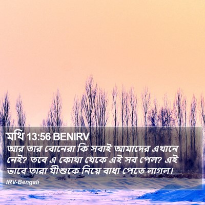 মথি 13:56 BENIRV Bible Verse Image