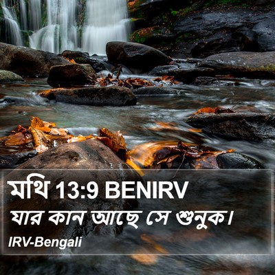 মথি 13:9 BENIRV Bible Verse Image