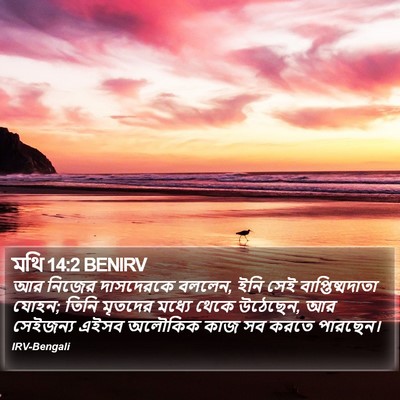 মথি 14:2 BENIRV Bible Verse Image