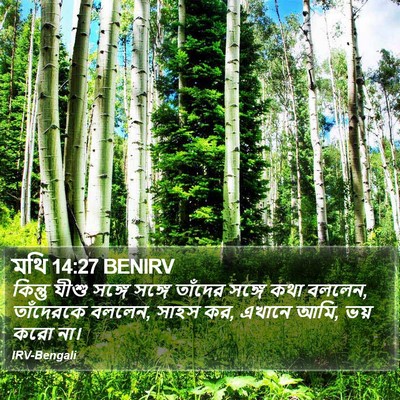 মথি 14:27 BENIRV Bible Verse Image