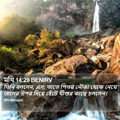 মথি 14:29 BENIRV Bible Verse Image