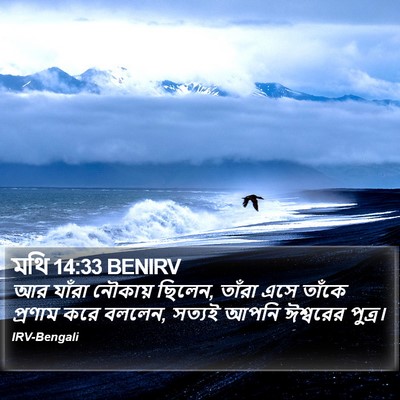 মথি 14:33 BENIRV Bible Verse Image