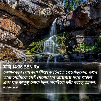 মথি 14:35 BENIRV Bible Verse Image