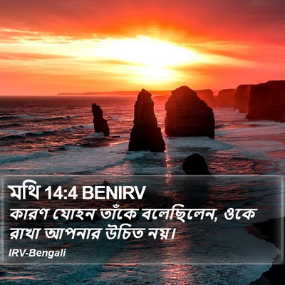 মথি 14:4 BENIRV Bible Verse Image