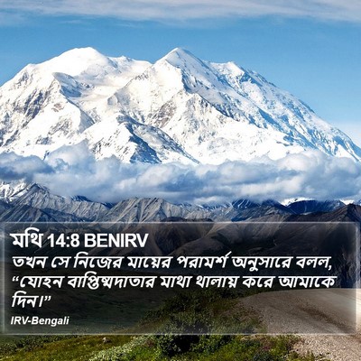মথি 14:8 BENIRV Bible Verse Image