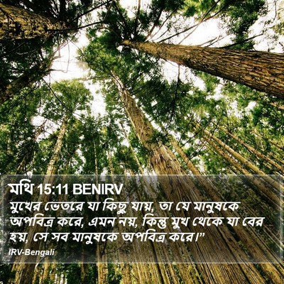মথি 15:11 BENIRV Bible Verse Image