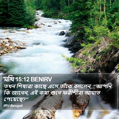 মথি 15:12 BENIRV Bible Verse Image