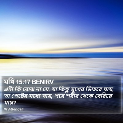 মথি 15:17 BENIRV Bible Verse Image