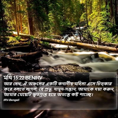 মথি 15:22 BENIRV Bible Verse Image