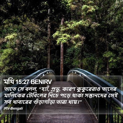 মথি 15:27 BENIRV Bible Verse Image