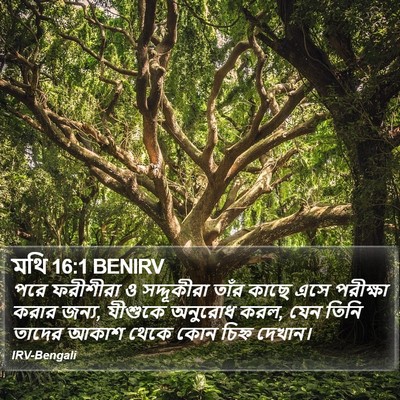 মথি 16:1 BENIRV Bible Verse Image