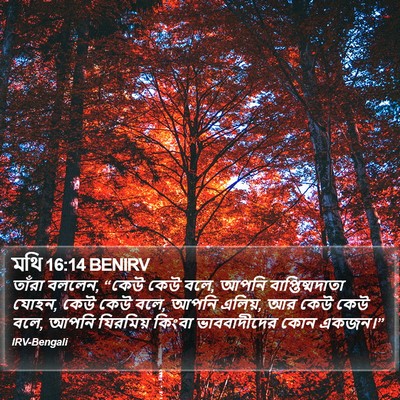 মথি 16:14 BENIRV Bible Verse Image