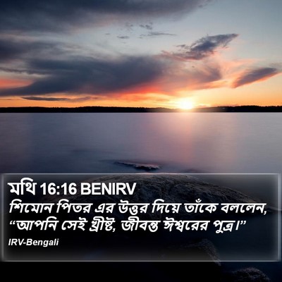 মথি 16:16 BENIRV Bible Verse Image