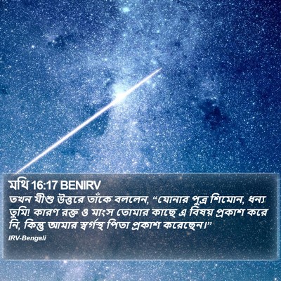 মথি 16:17 BENIRV Bible Verse Image