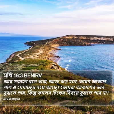 মথি 16:3 BENIRV Bible Verse Image