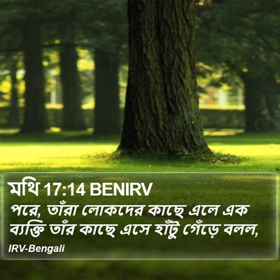 মথি 17:14 BENIRV Bible Verse Image