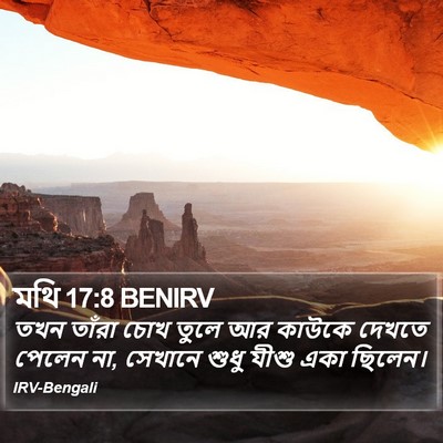 মথি 17:8 BENIRV Bible Verse Image