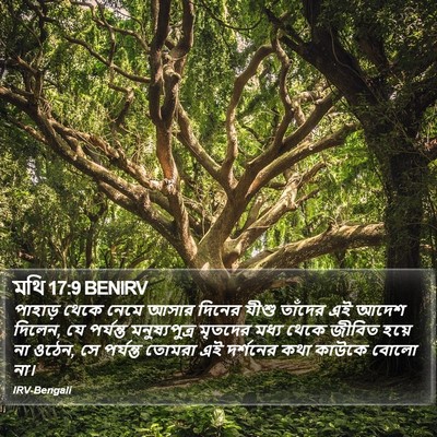 মথি 17:9 BENIRV Bible Verse Image