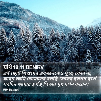 মথি 18:11 BENIRV Bible Verse Image