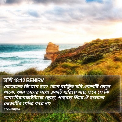 মথি 18:12 BENIRV Bible Verse Image