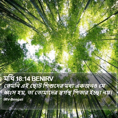 মথি 18:14 BENIRV Bible Verse Image