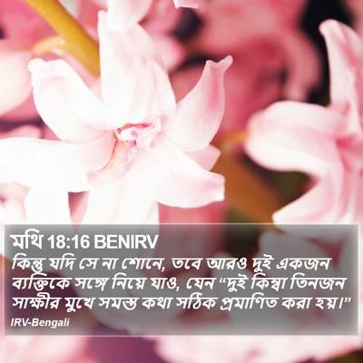 মথি 18:16 BENIRV Bible Verse Image
