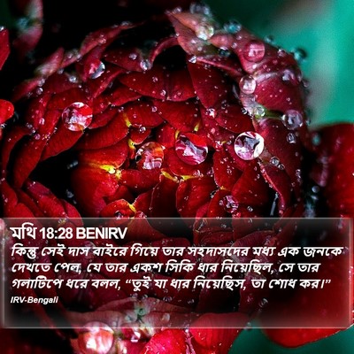 মথি 18:28 BENIRV Bible Verse Image