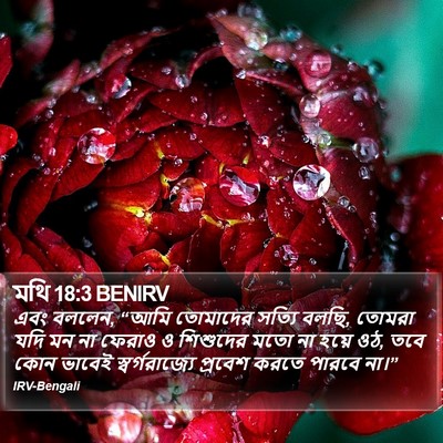 মথি 18:3 BENIRV Bible Verse Image