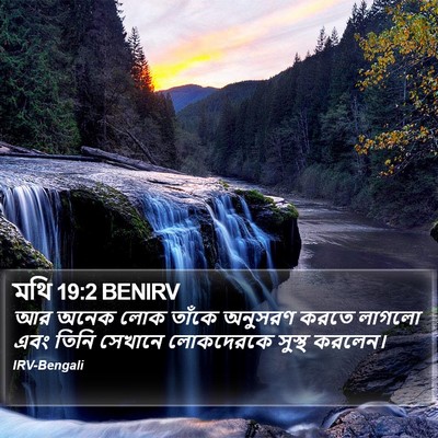 মথি 19:2 BENIRV Bible Verse Image
