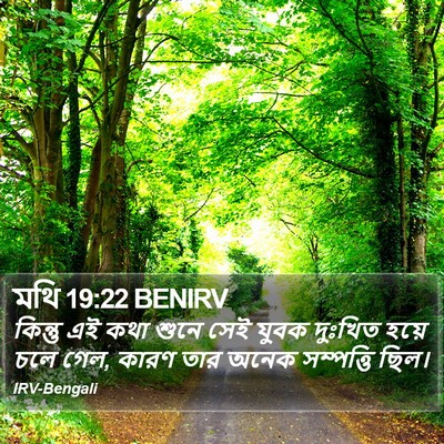 মথি 19:22 BENIRV Bible Verse Image