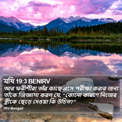 মথি 19:3 BENIRV Bible Verse Image