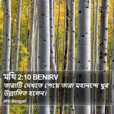 মথি 2:10 BENIRV Bible Verse Image