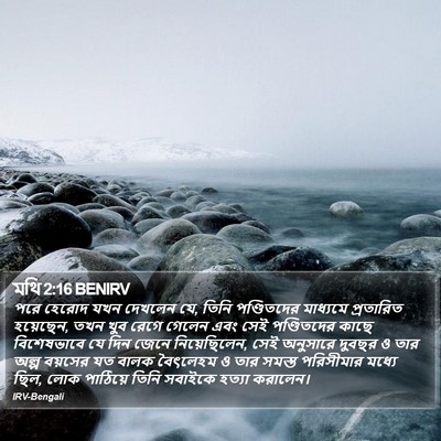মথি 2:16 BENIRV Bible Verse Image