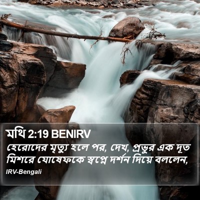 মথি 2:19 BENIRV Bible Verse Image