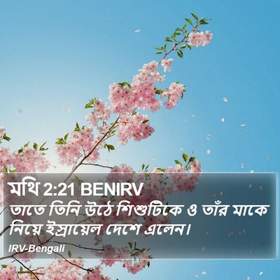 মথি 2:21 BENIRV Bible Verse Image