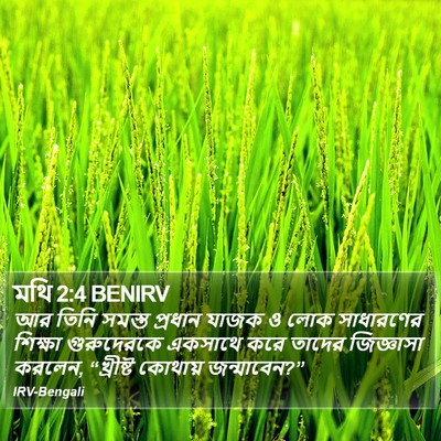 মথি 2:4 BENIRV Bible Verse Image