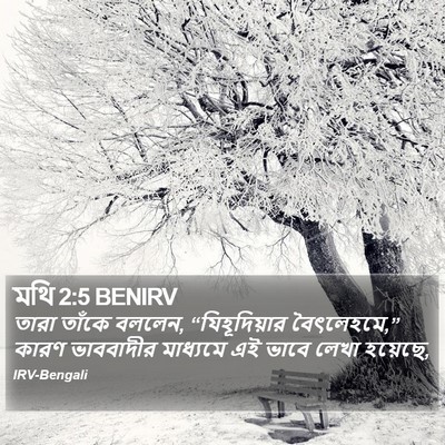 মথি 2:5 BENIRV Bible Verse Image