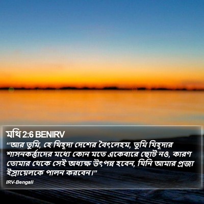 মথি 2:6 BENIRV Bible Verse Image