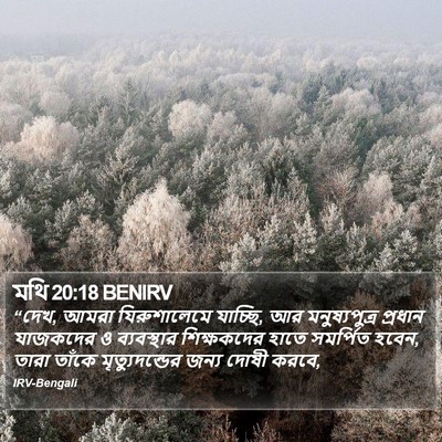 মথি 20:18 BENIRV Bible Verse Image