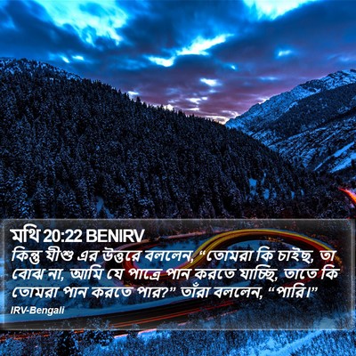মথি 20:22 BENIRV Bible Verse Image